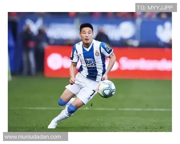 小胖究竟是哪个足球明星背后的故事与成就揭秘