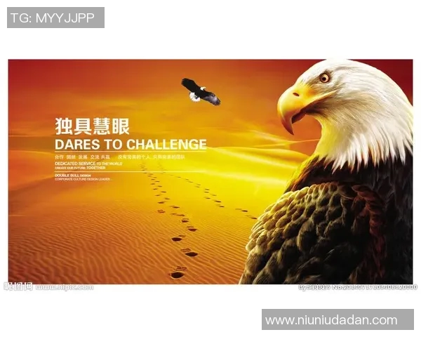 太阳与老鹰比赛大小分分析及推荐策略分享