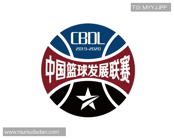 中国篮球明星巨人崛起的背后故事与成就分析